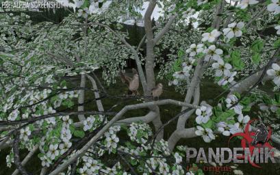 PandemikTheOrigins