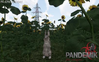 PandemikTheOrigins
