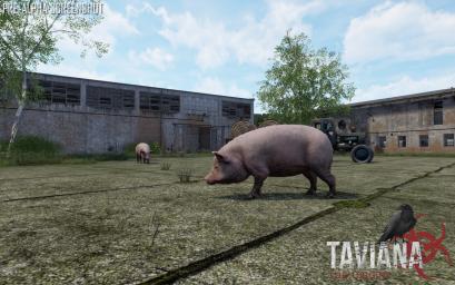 News Update #25